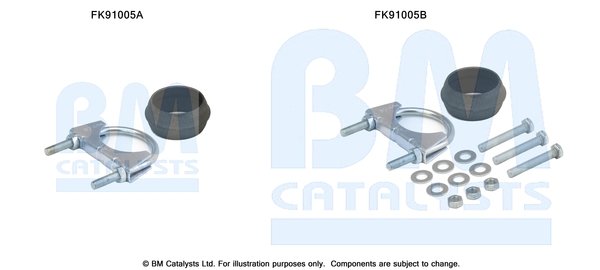 BM CATALYSTS FK91005