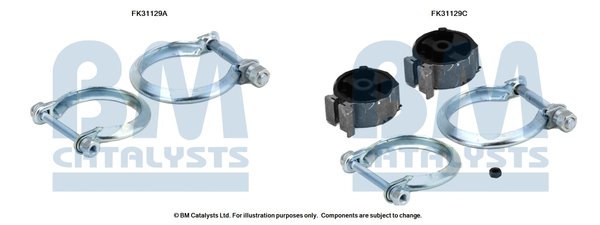 BM CATALYSTS FK31129 BM CATALYSTS FK31129