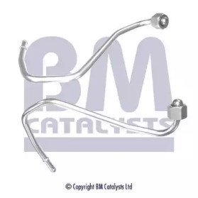 BM CATALYSTS PP11202A