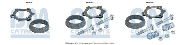 BM CATALYSTS FK11025