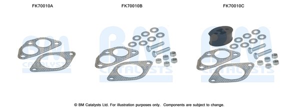 BM CATALYSTS FK70010