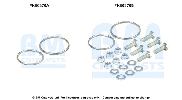 BM CATALYSTS FK80370
