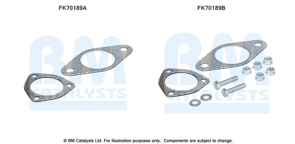 BM CATALYSTS FK70189