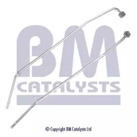 BM CATALYSTS PP11110B