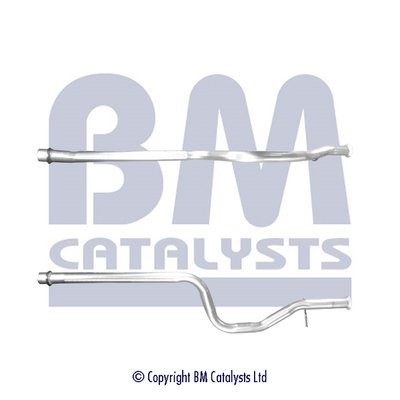 BM CATALYSTS BM50570