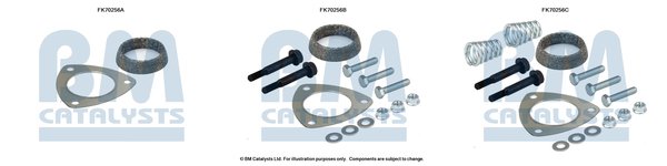 BM CATALYSTS FK70256