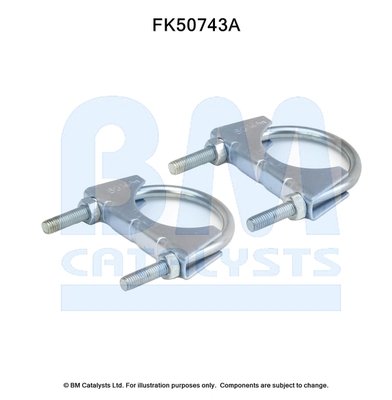 BM CATALYSTS FK50743