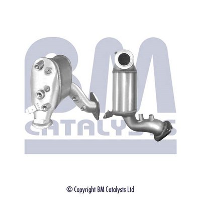 BM CATALYSTS BM11113P