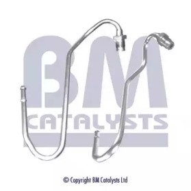 BM CATALYSTS PP11220B
