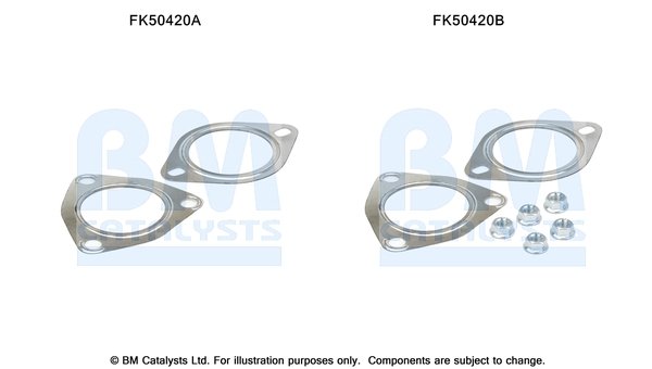 BM CATALYSTS FK50420