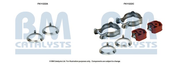 BM CATALYSTS FK11222