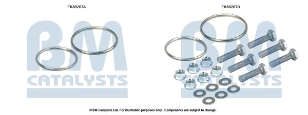 BM CATALYSTS FK80267