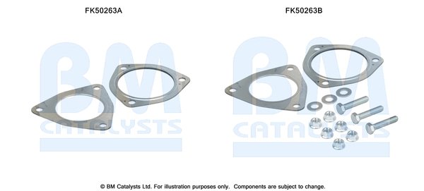BM CATALYSTS FK50263