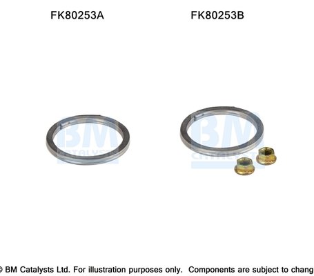 BM CATALYSTS FK80253