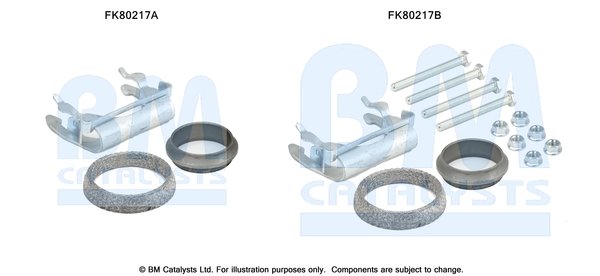 BM CATALYSTS FK80217