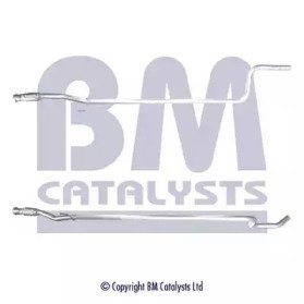 BM CATALYSTS BM50421