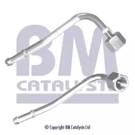 BM CATALYSTS PP11079A