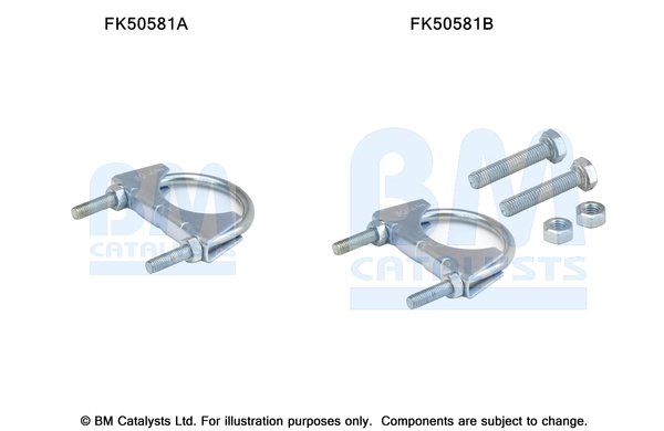 BM CATALYSTS FK50581