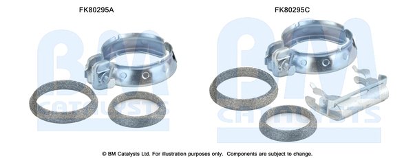 BM CATALYSTS FK80295