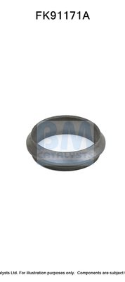 BM CATALYSTS FK91171
