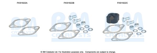 BM CATALYSTS FK91922