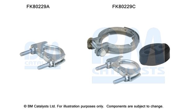BM CATALYSTS FK80229 BM CATALYSTS FK80229