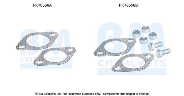 BM CATALYSTS FK70556