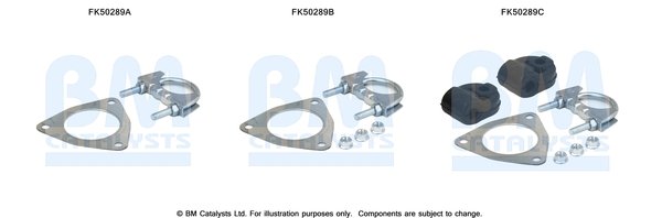 BM CATALYSTS FK50289