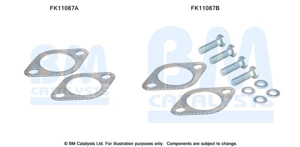 BM CATALYSTS FK11087