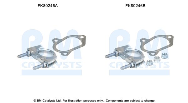 BM CATALYSTS FK80246