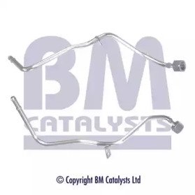 BM CATALYSTS PP11070B