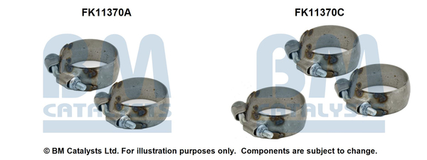 BM CATALYSTS FK11370