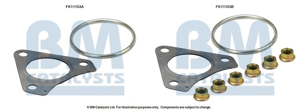 BM CATALYSTS FK11153