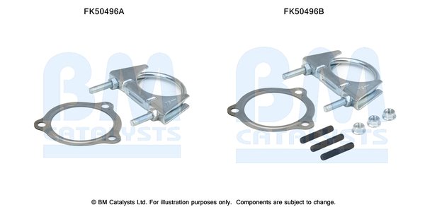 BM CATALYSTS FK50496
