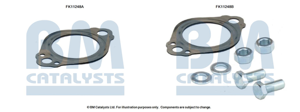 BM CATALYSTS FK11248 BM CATALYSTS FK11248
