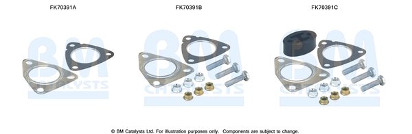 BM CATALYSTS FK70391