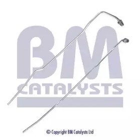 BM CATALYSTS PP11055B