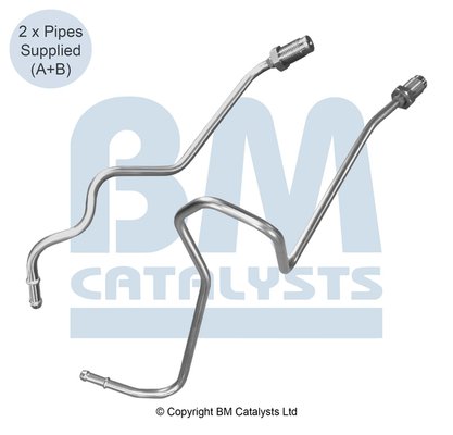BM CATALYSTS PP11118C