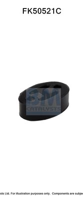 BM CATALYSTS FK50521