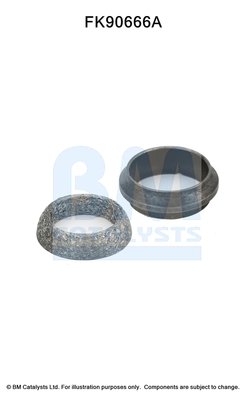 BM CATALYSTS FK90666