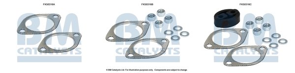 BM CATALYSTS FK50316