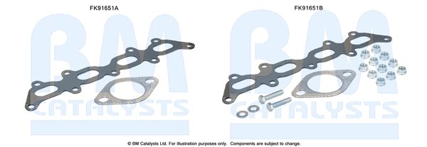 BM CATALYSTS FK91651
