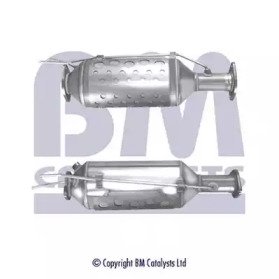BM CATALYSTS BM11006P