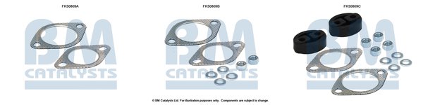 BM CATALYSTS FK50809