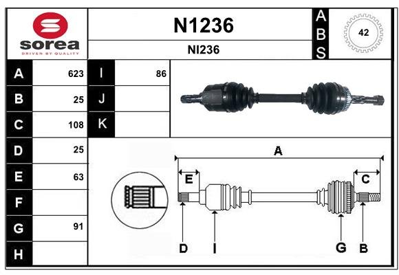 SNRA N1236