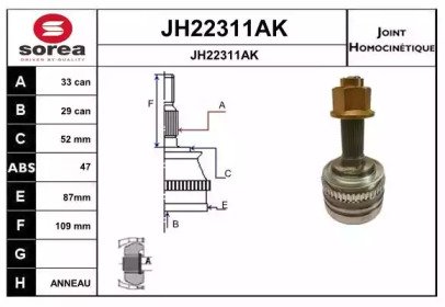 SNRA JH22311AK