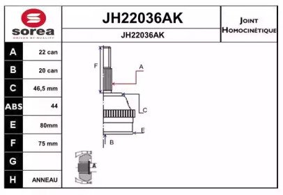 SNRA JH22036AK