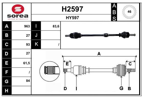 SNRA H2597