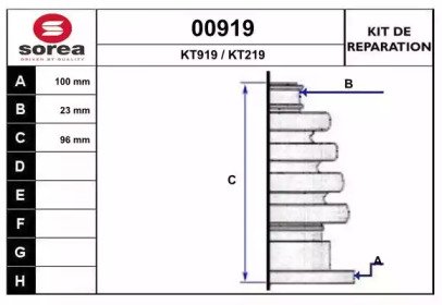 SNRA 00919