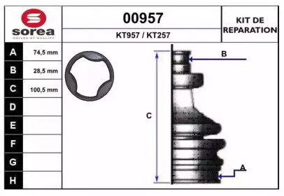 SNRA 00957